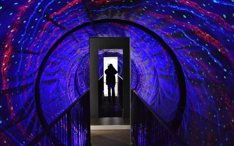 museum of illusions