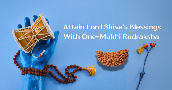 one mukhi rudraksha