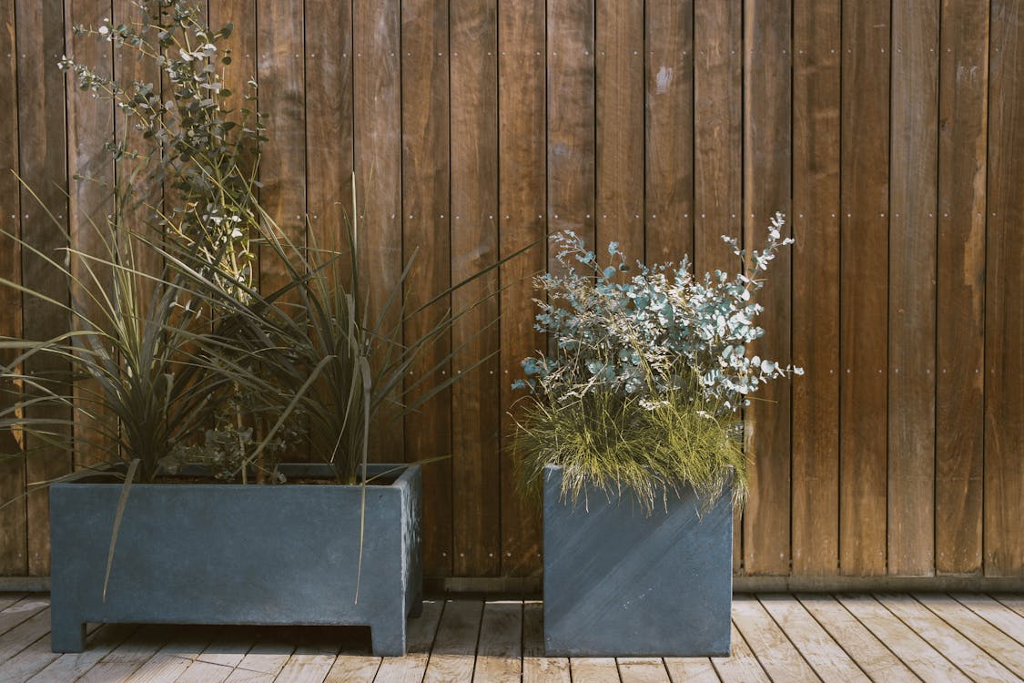 plant container