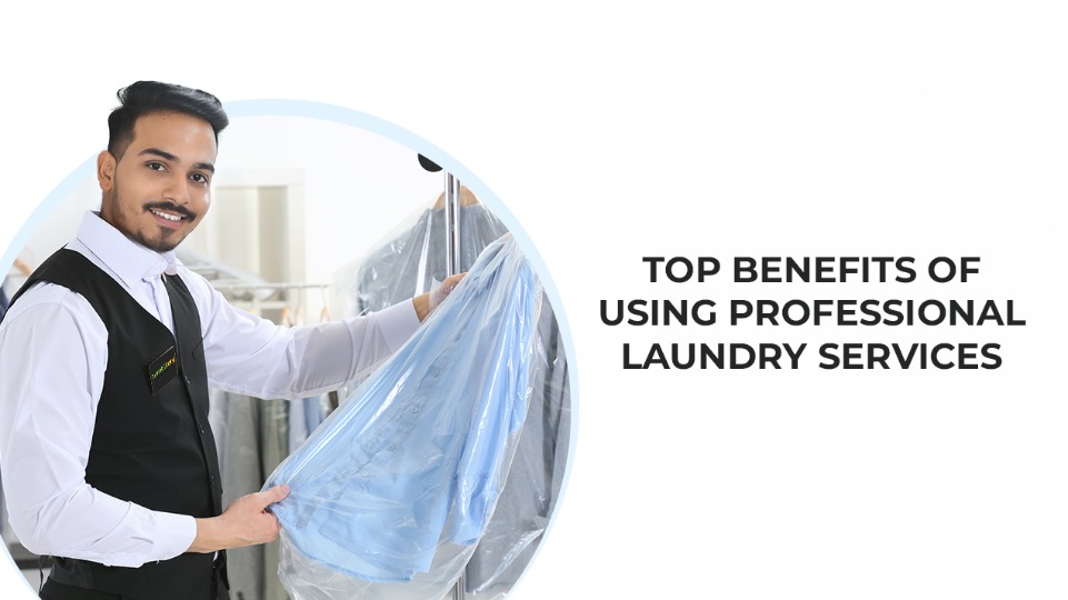 professional laundry services