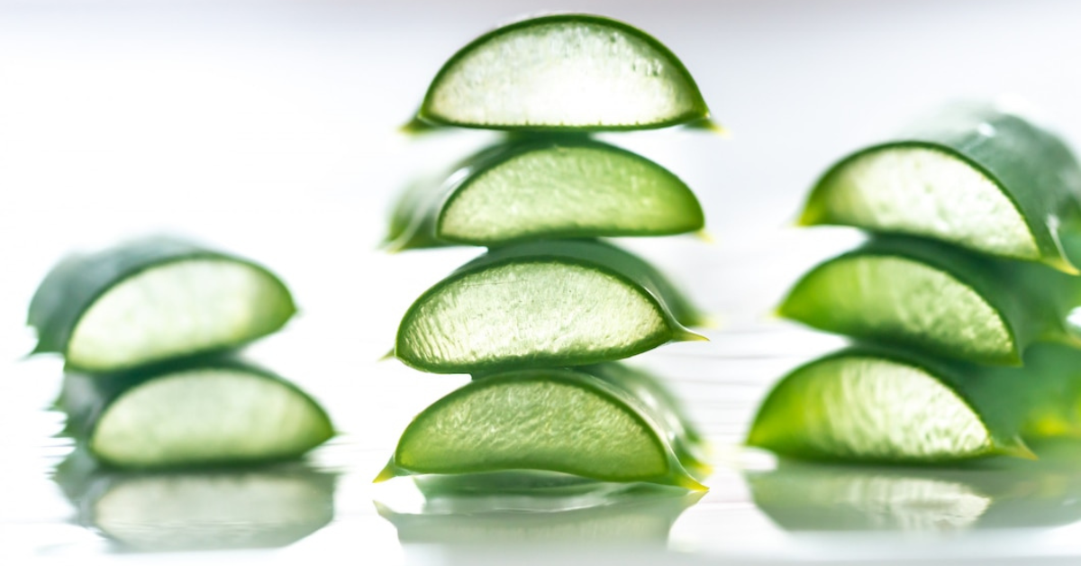 aloe Vera industry
