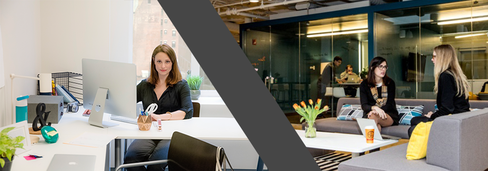 Shared Office vs Private Space