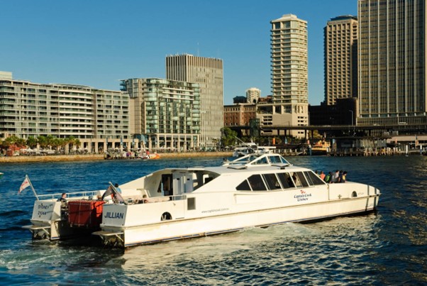 harbour sightseeing
