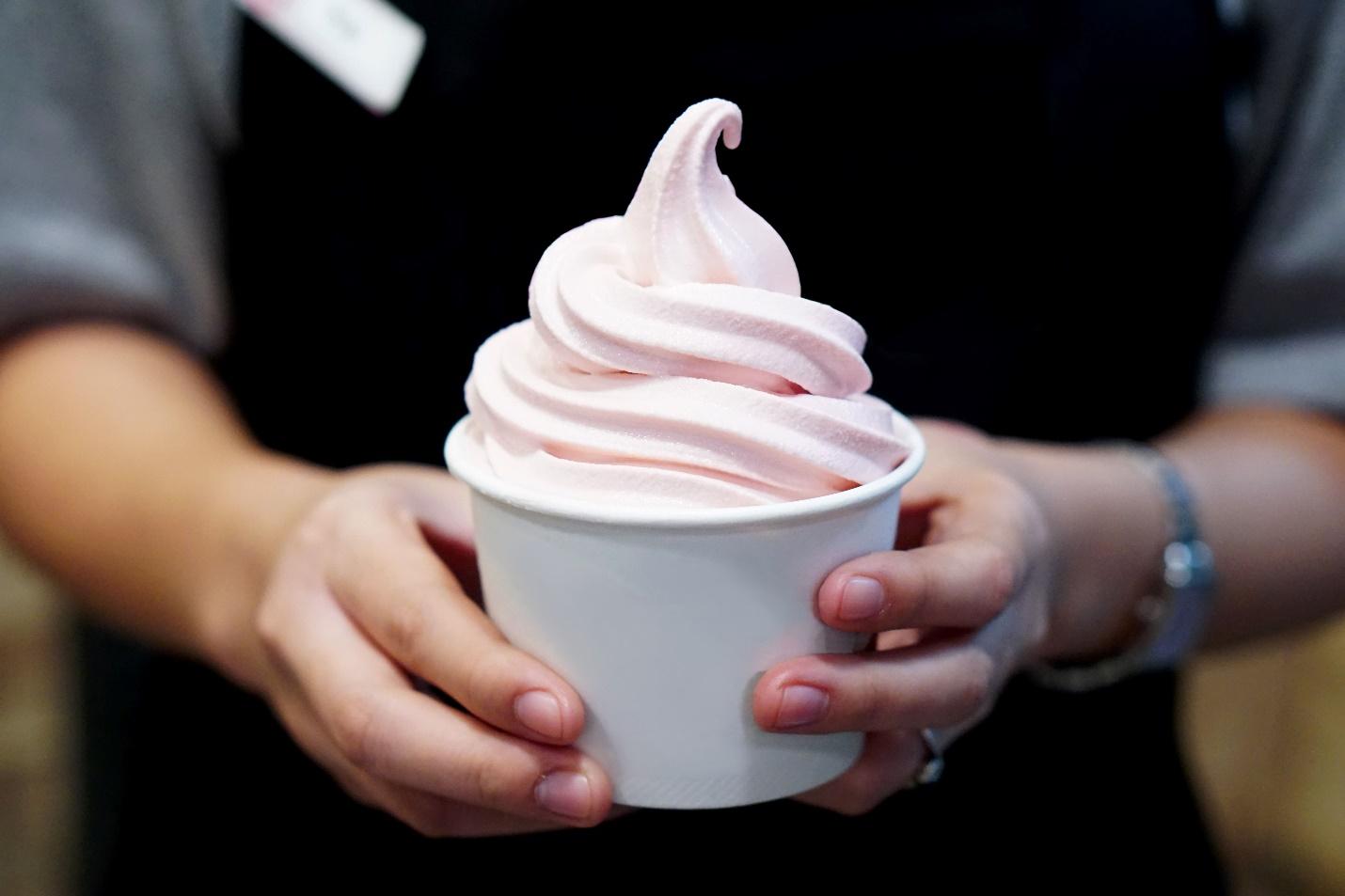 soft serve freezer