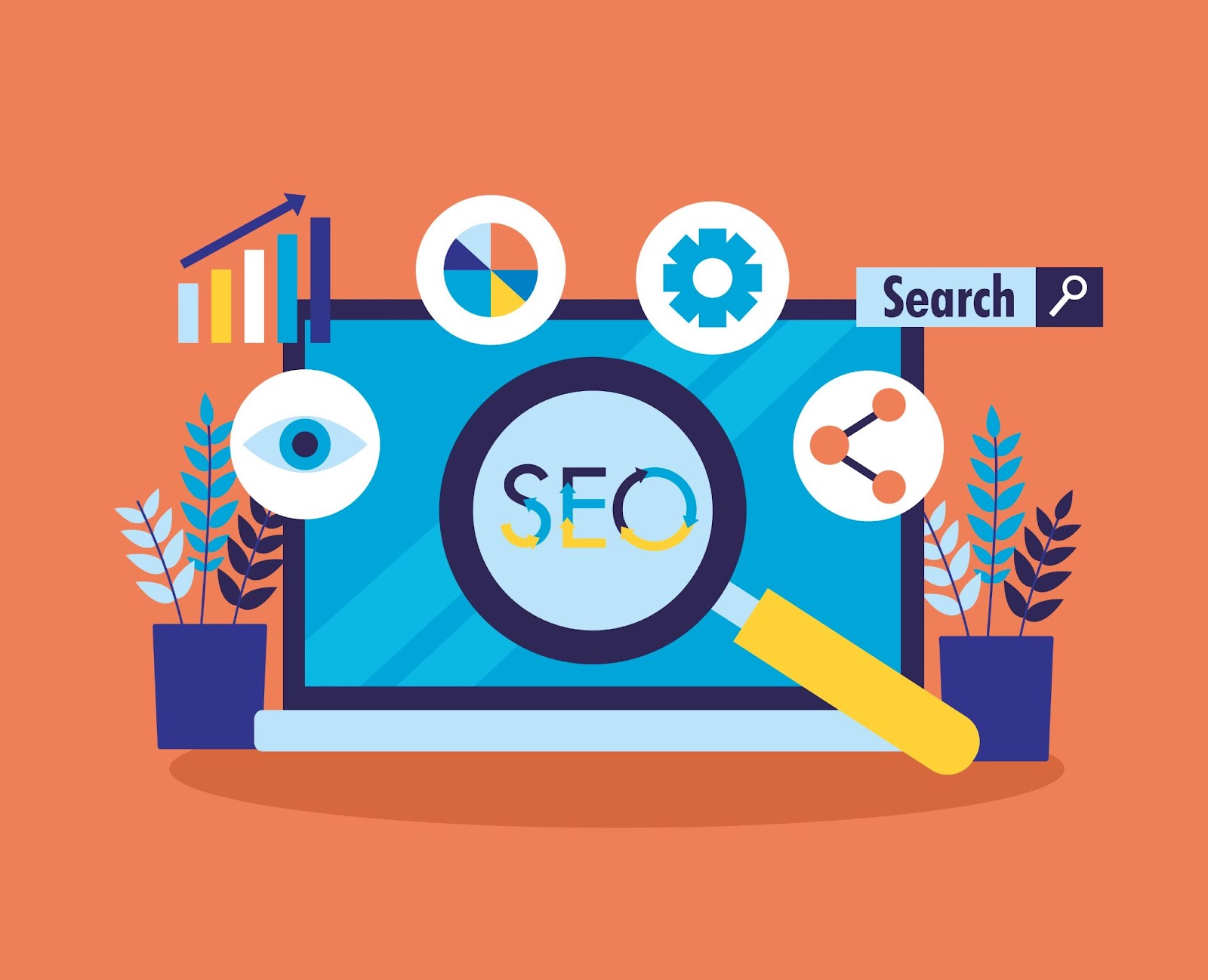 local seo