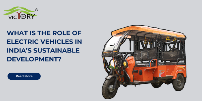 India’s sustainable development