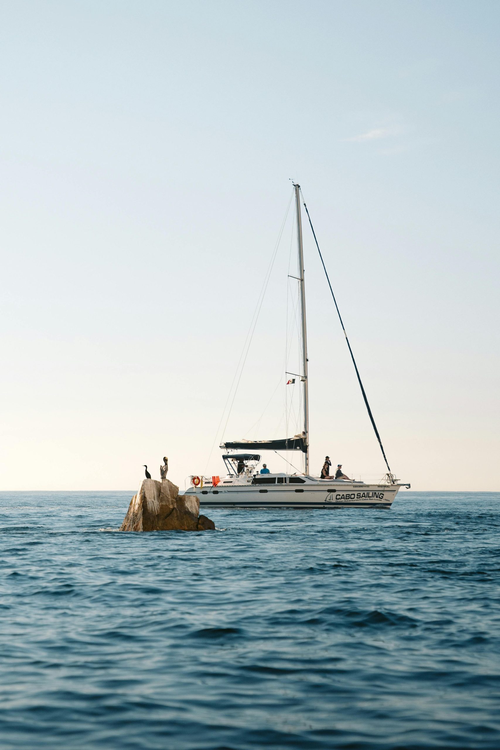 yacht dinner cruises