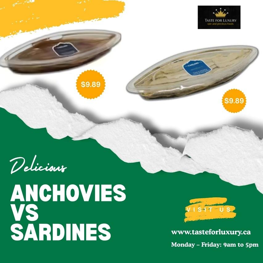preserved anchovies