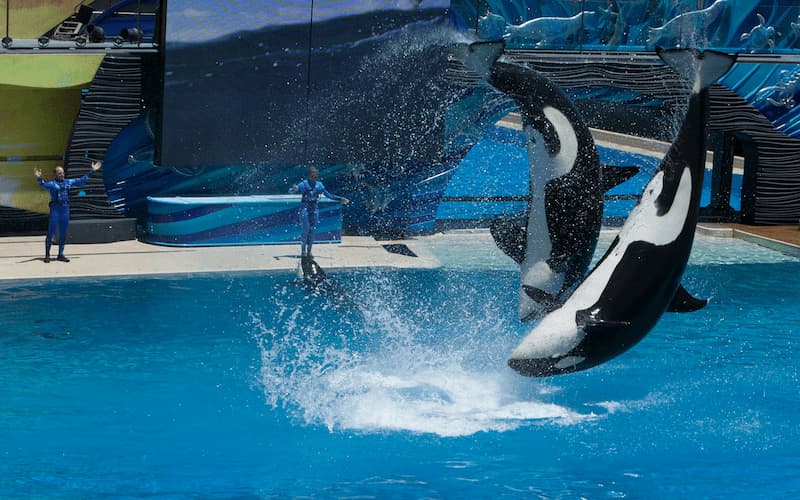 seaworld abu dhabi