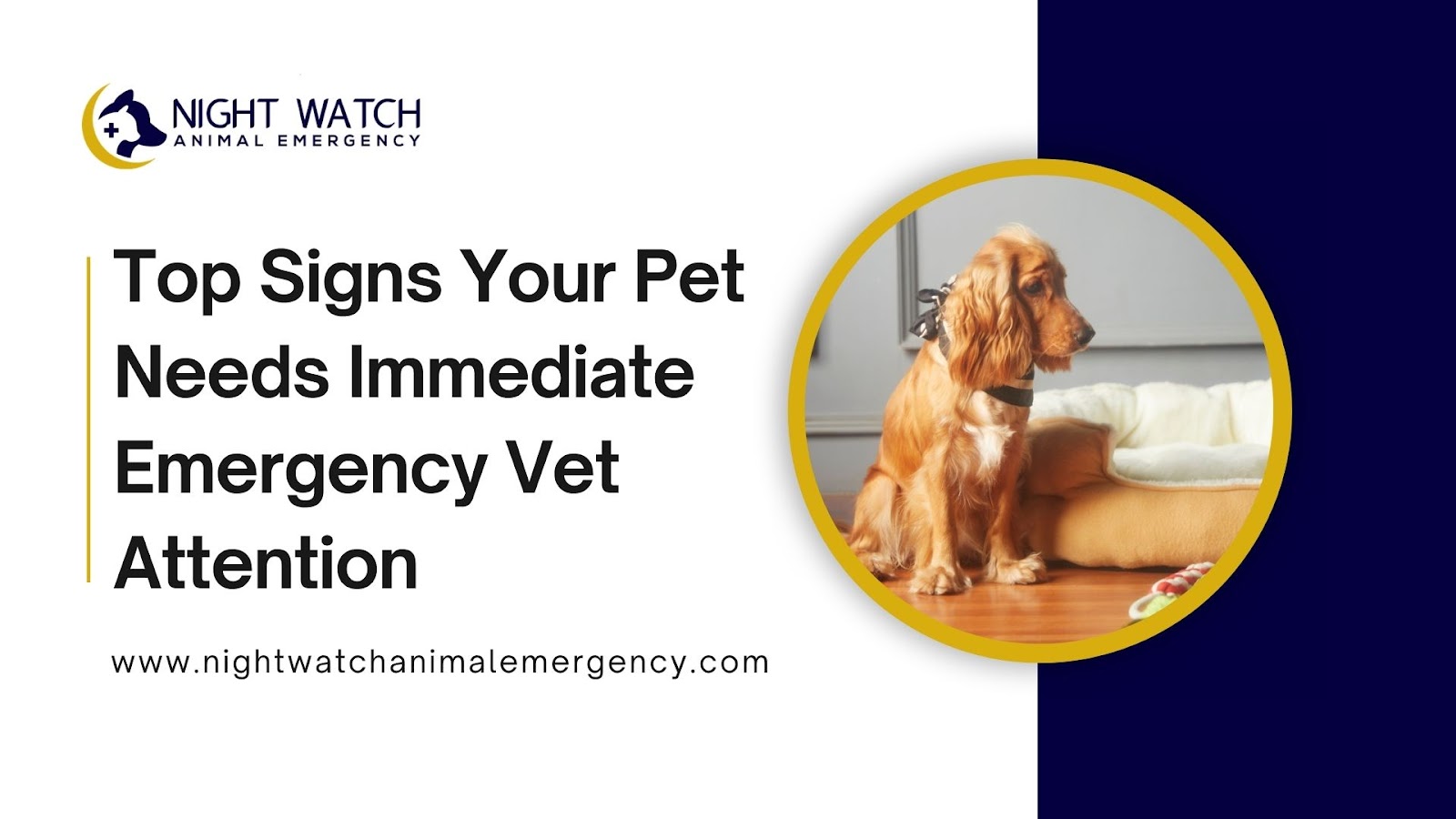 pet hospital