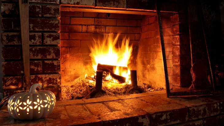 ann arbor chimney sweep