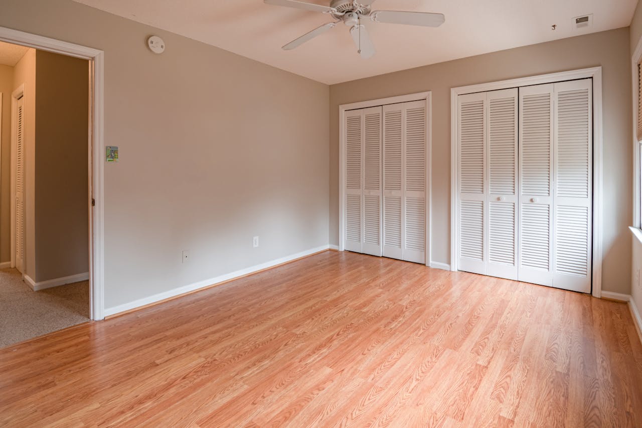 mold remediation