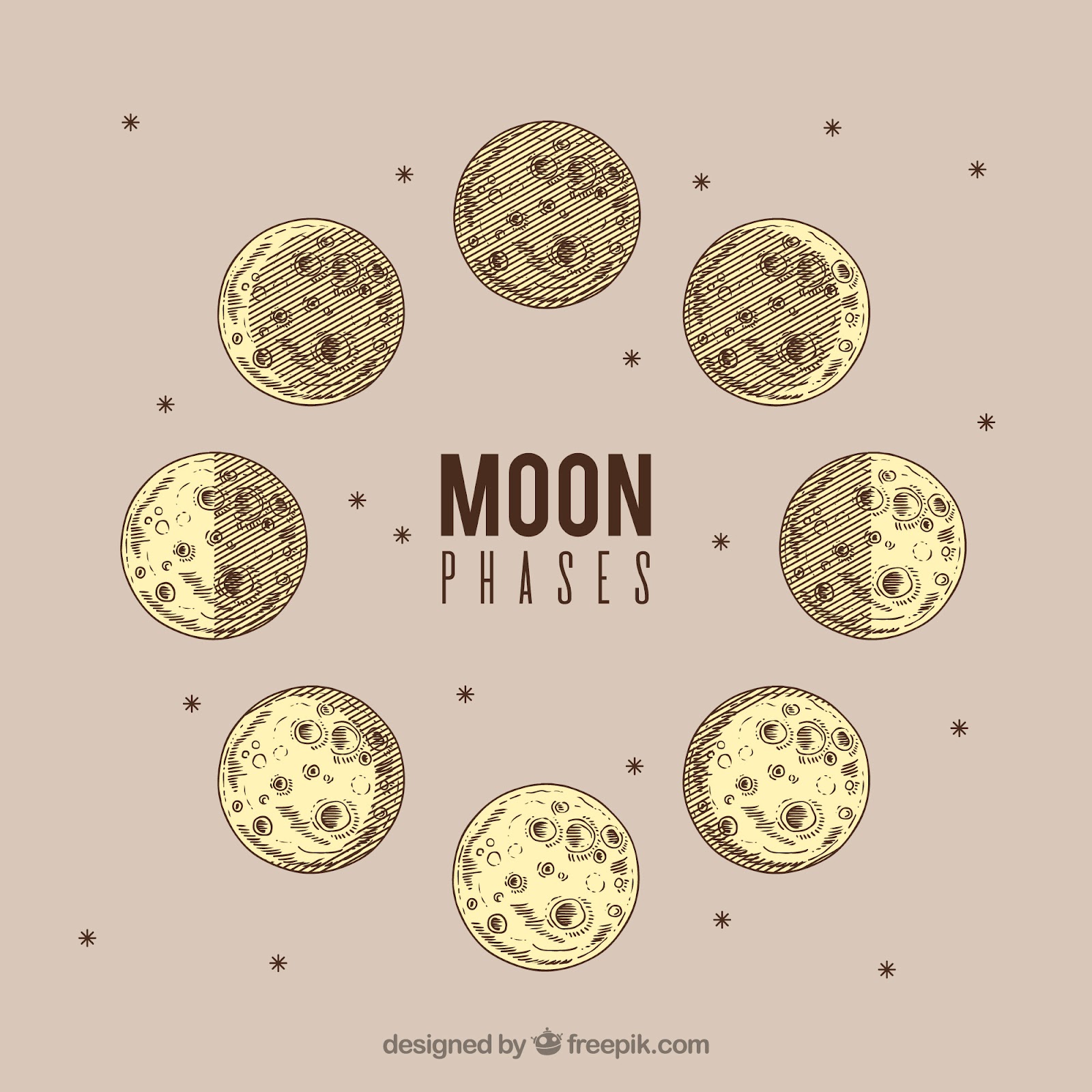 moon phase prints