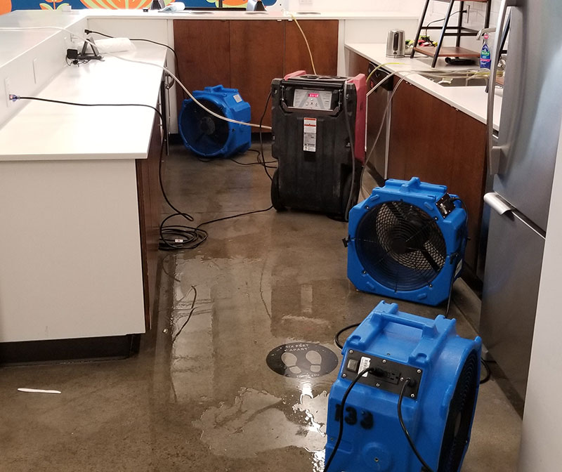 emergency water damage services