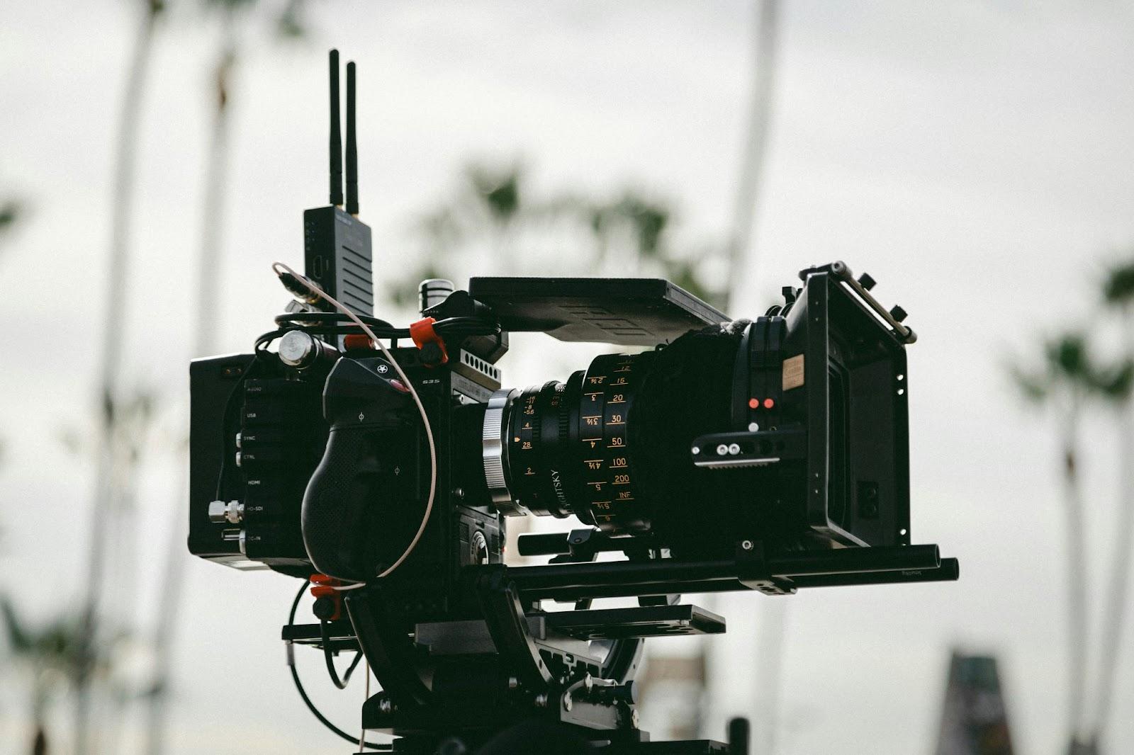 film distribution