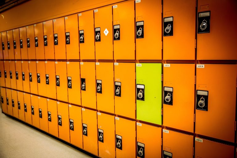 Versatile & Secure Storage Lockers for Every Environment