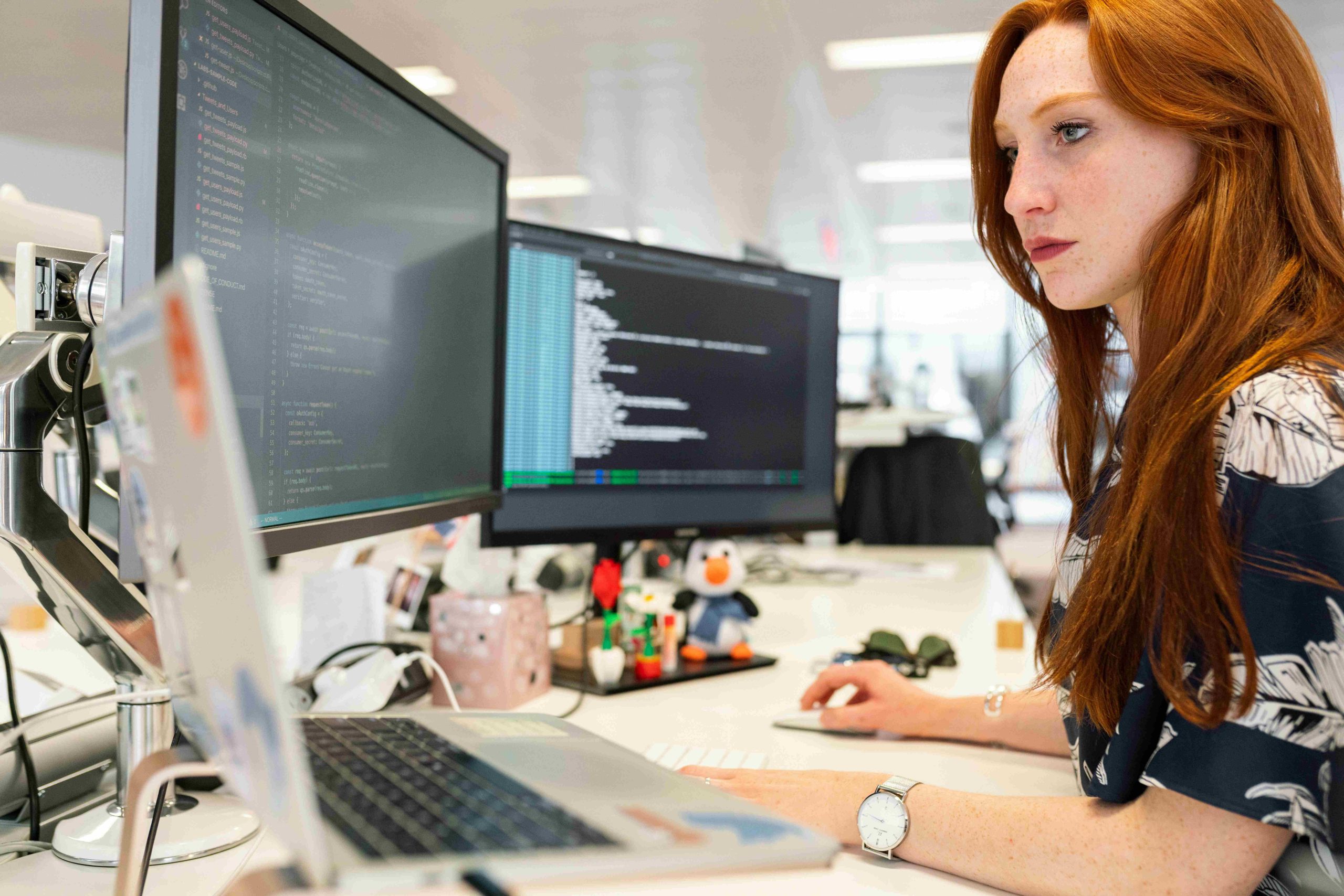 software developers