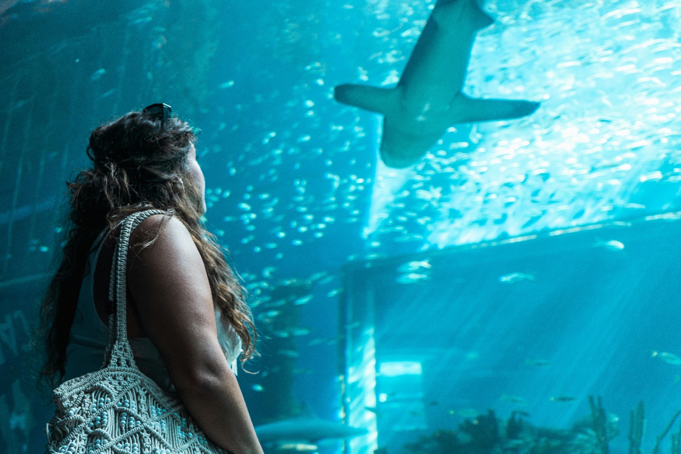 dubai aquarium