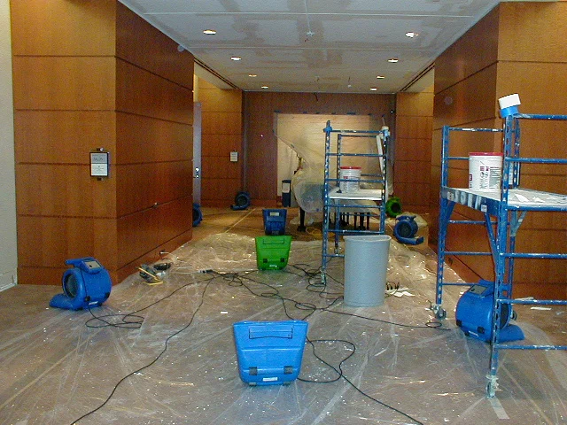 water damage restoration service in adelaide