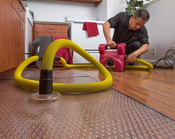 damage specialist in bendigo