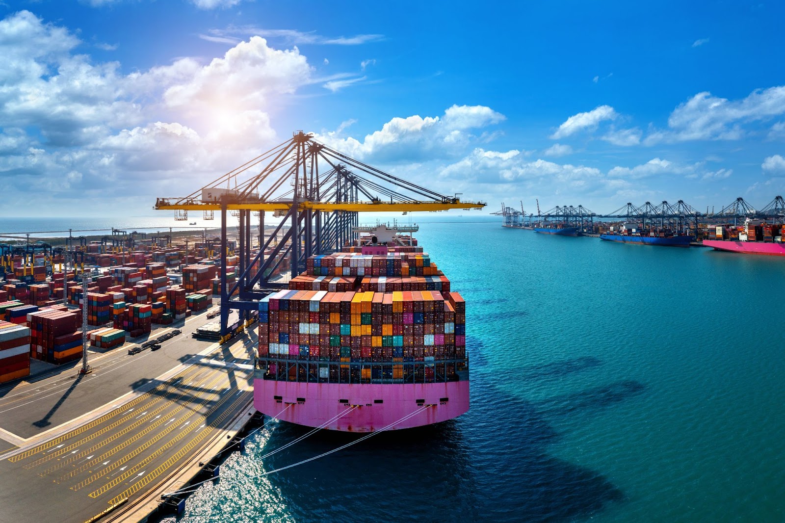 export economy