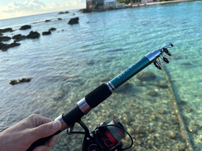 extendable fishing rod