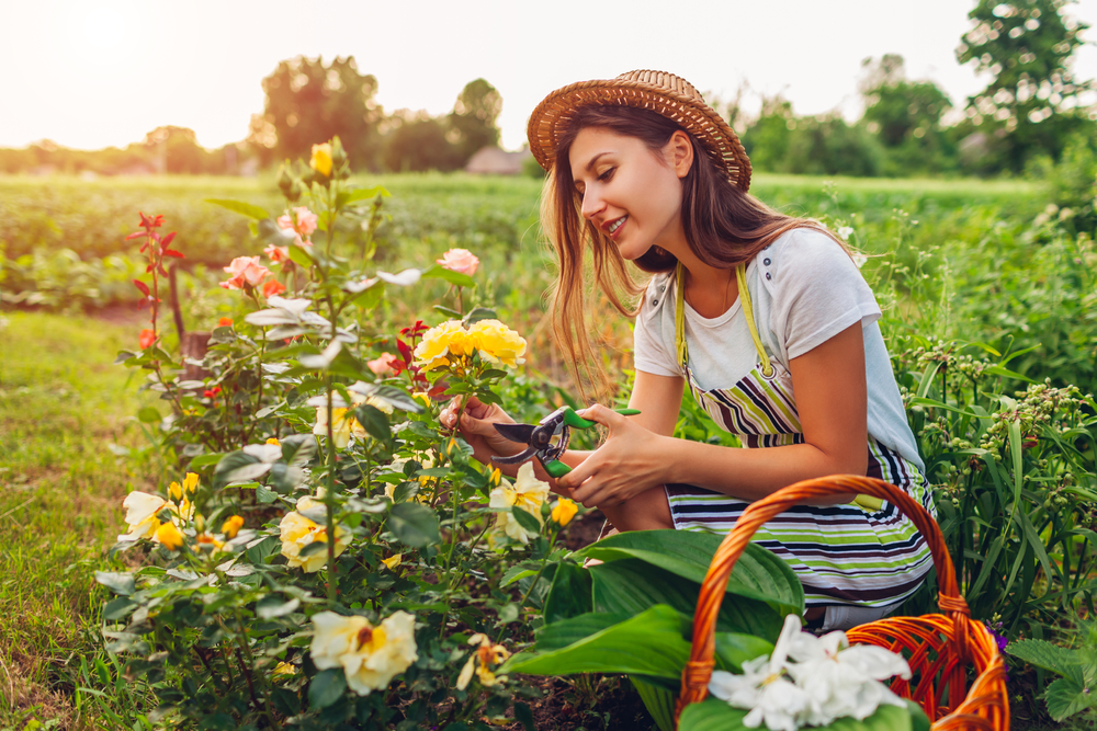 gardening hats