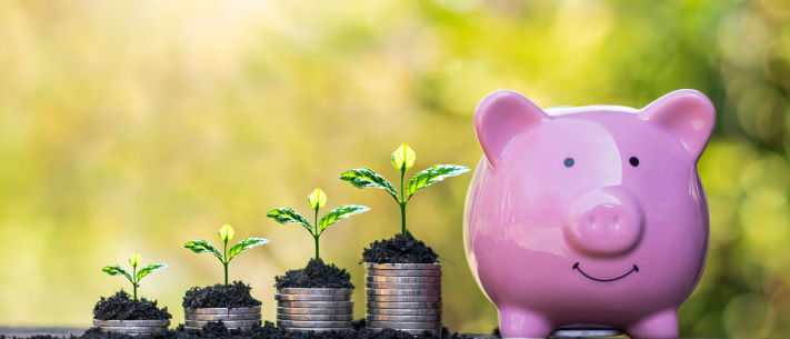 loan-against-mutual-fund-process