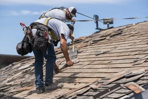 roofing contractor