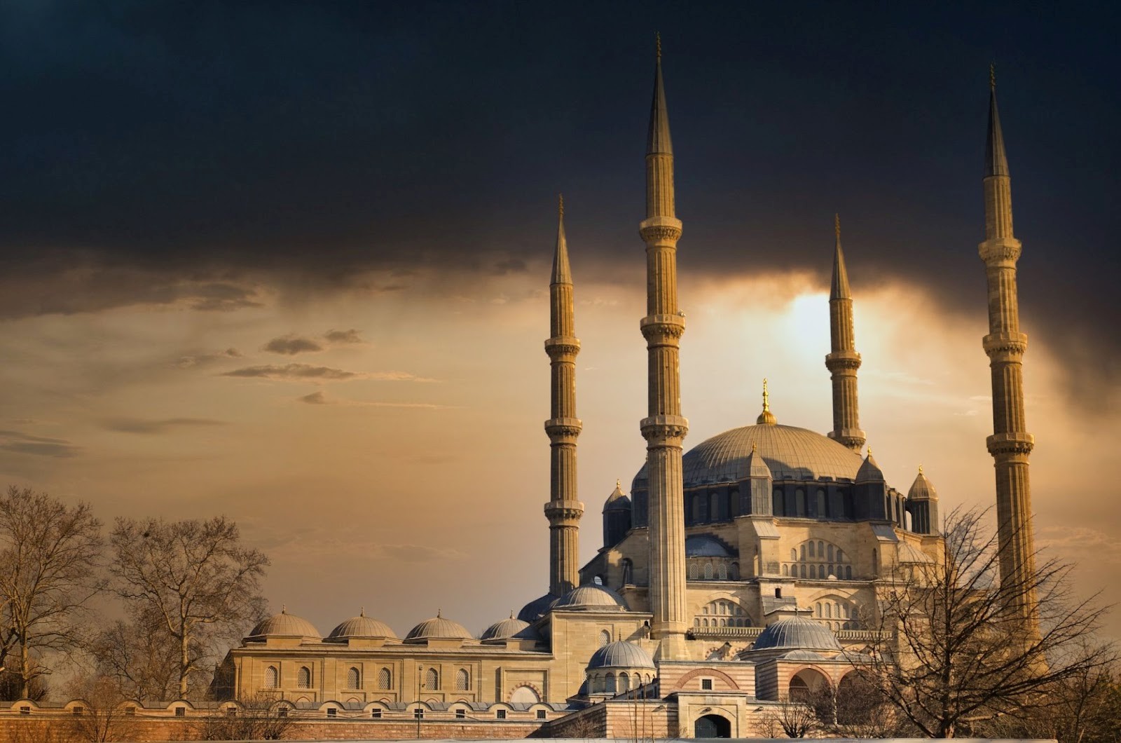 turk idla