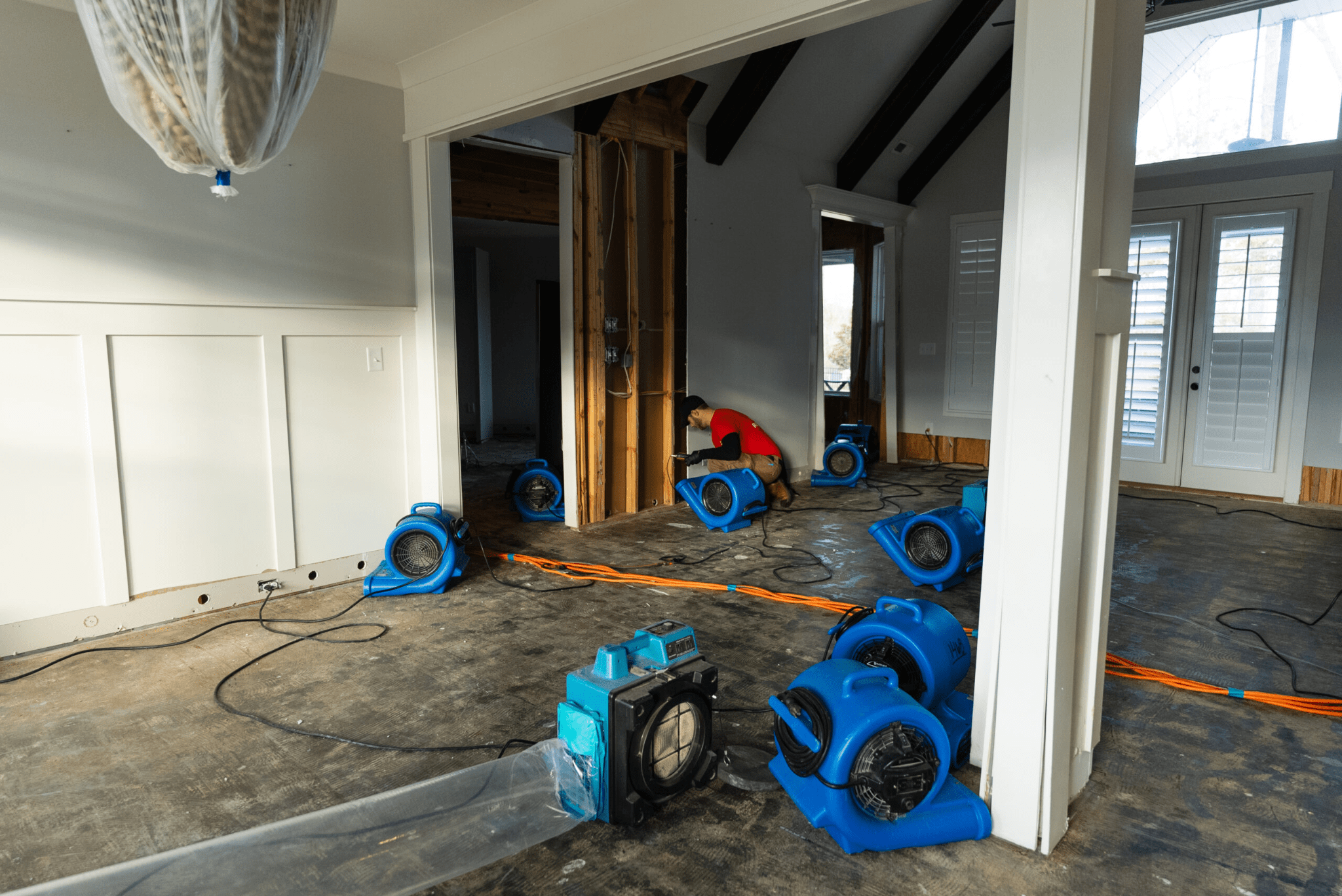 water damage specialist