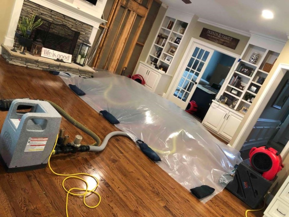 water damage specialist geelong