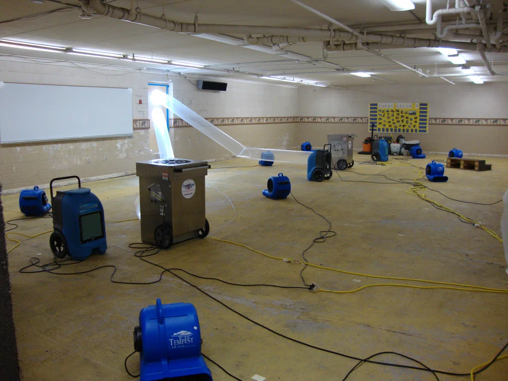 water damage specialist