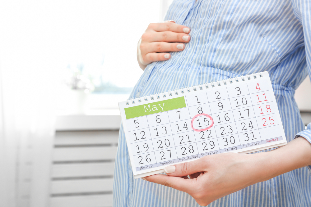 pregnancy due date calculator