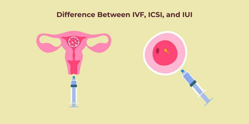 ivf and iui
