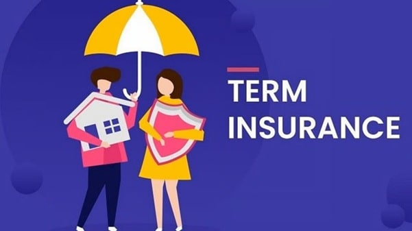 term life insurance plan