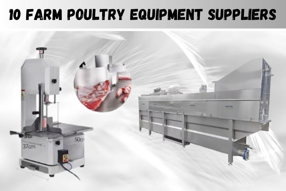 top 10 farm poultry equipment suppliers