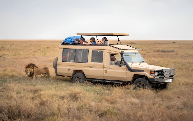 winter safari experiences tanzania