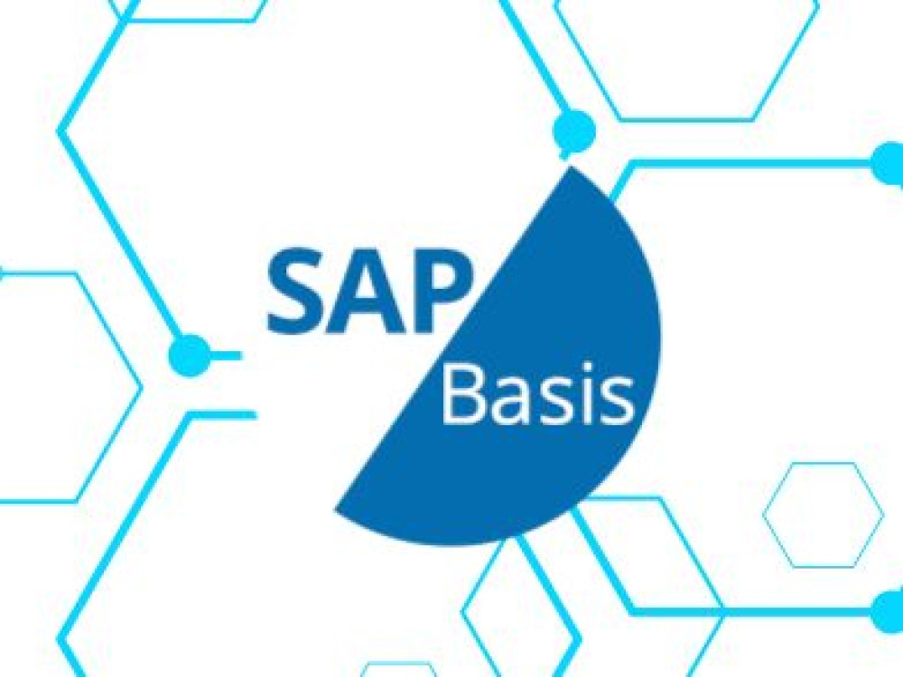 sap basis