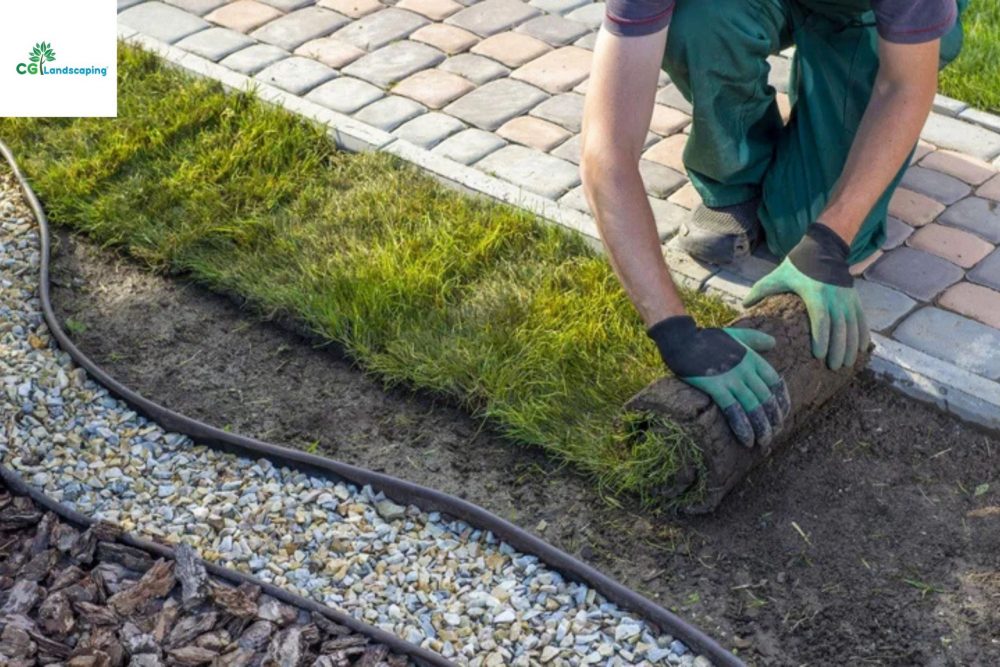 commercial sod installation