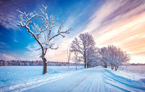 estonia winter