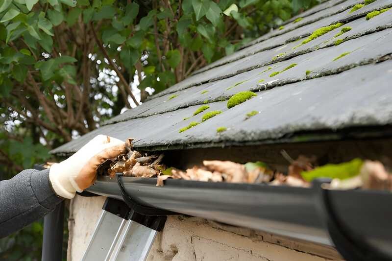 gutter cleaning services