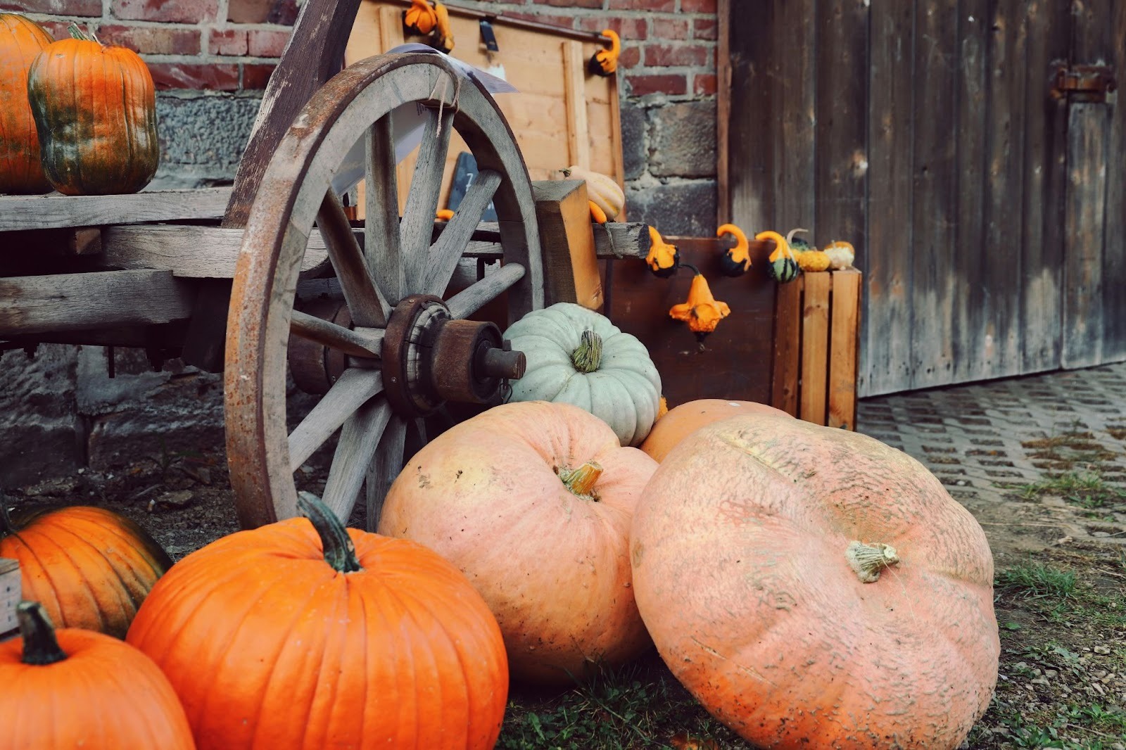 halloween sales