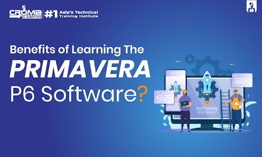 primavera p6