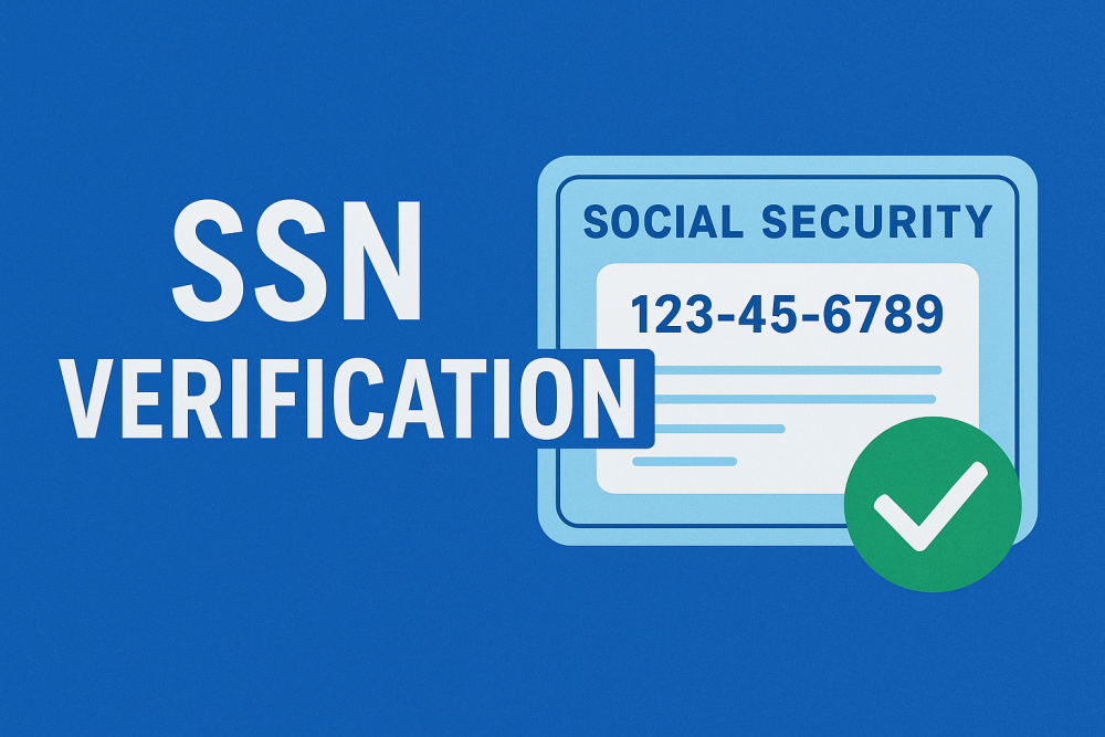 ssn verification