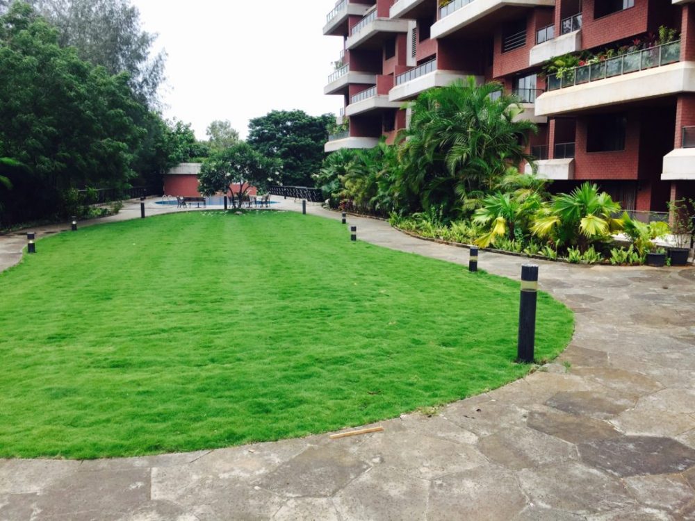 garden maintenance service