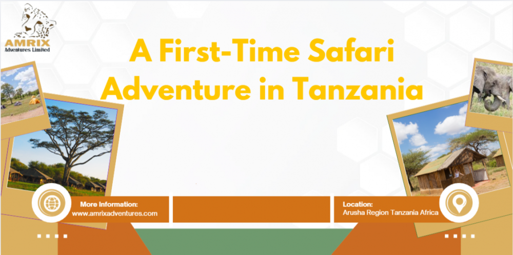 first-time safari in tanzania