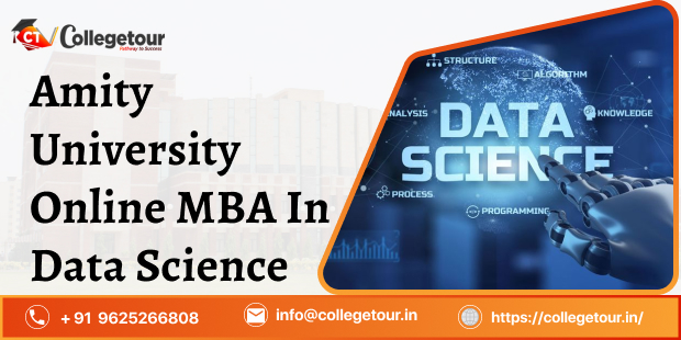 amity university mba