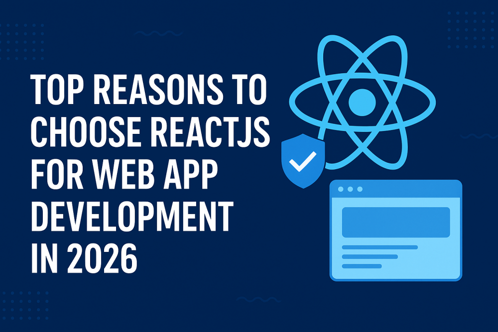 reactjs web app development