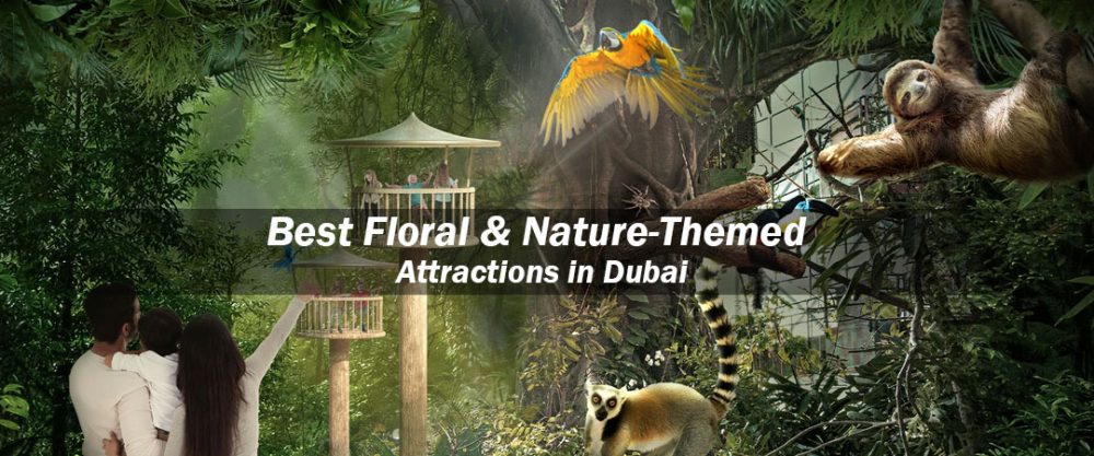 floral and nature-themed attractions in dubai